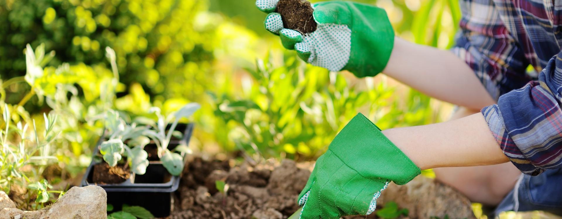 Zielone rękawice na dłoniach